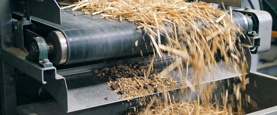 Wheat Straw Pulp