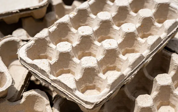 Wheat Straw Pulp