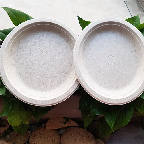 Bleached Bagasse pulp