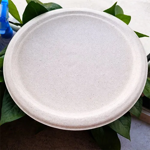 Bleached Bagasse pulp