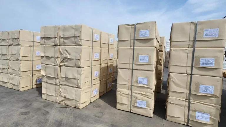 SHEEON Reached Cooperation with a Russian Customer for 80 Tons of Wheat Straw Pulp