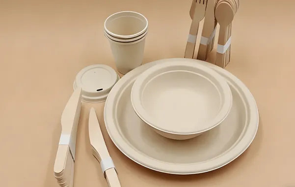 Bagasse