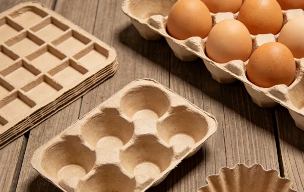 Bagasse