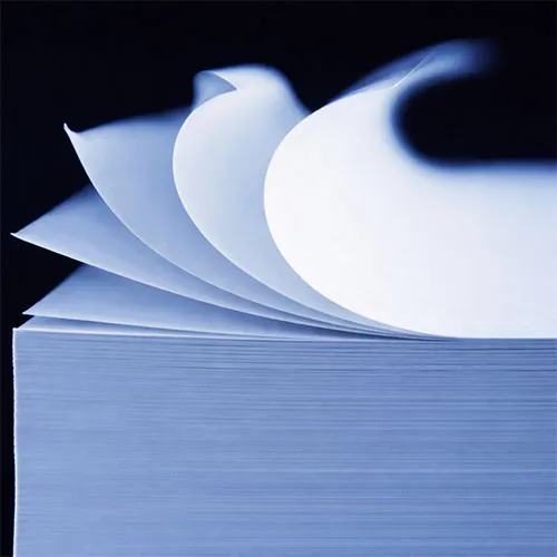 Bible paper