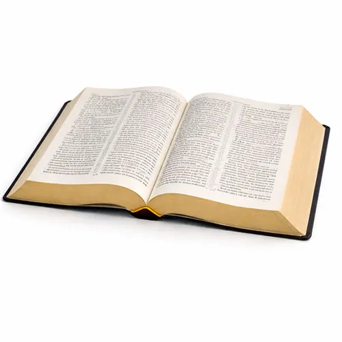 Bible paper