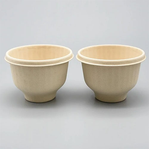 Unbleached Bagasse Pulp