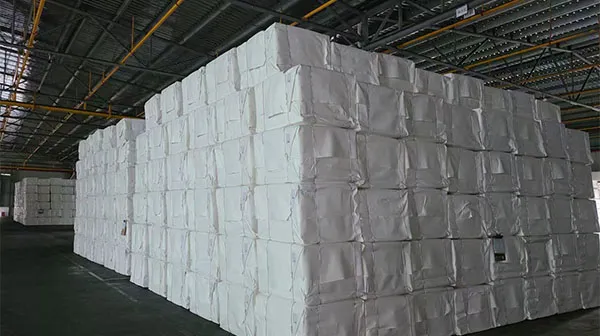 Bleached Bagasse pulp