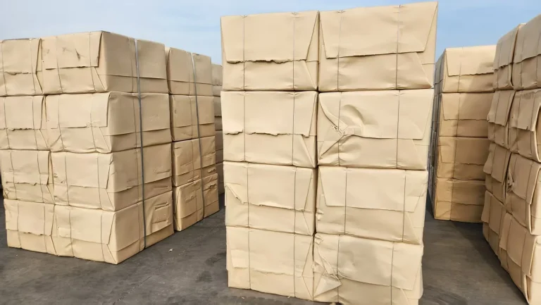 Bagasse Pulp Sheet: Sizes, Grammage and Pricing Factors