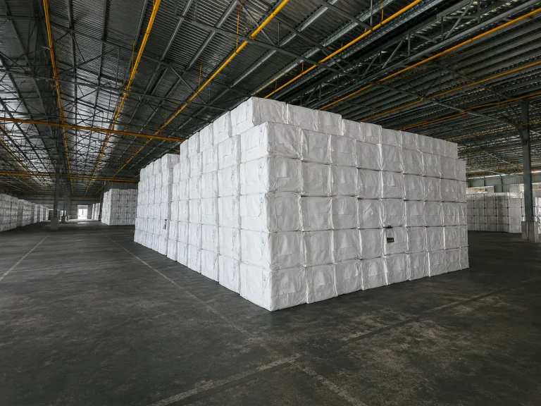 Bagasse vs Plastic: Is Sugarcane Fiber a Sustainable Alternative for Food Packaging Containers?